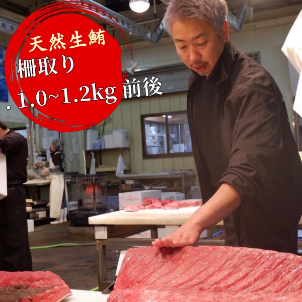 【生マグロ】 メバチ or キハダ 柵どり1.0~1.2kg前後