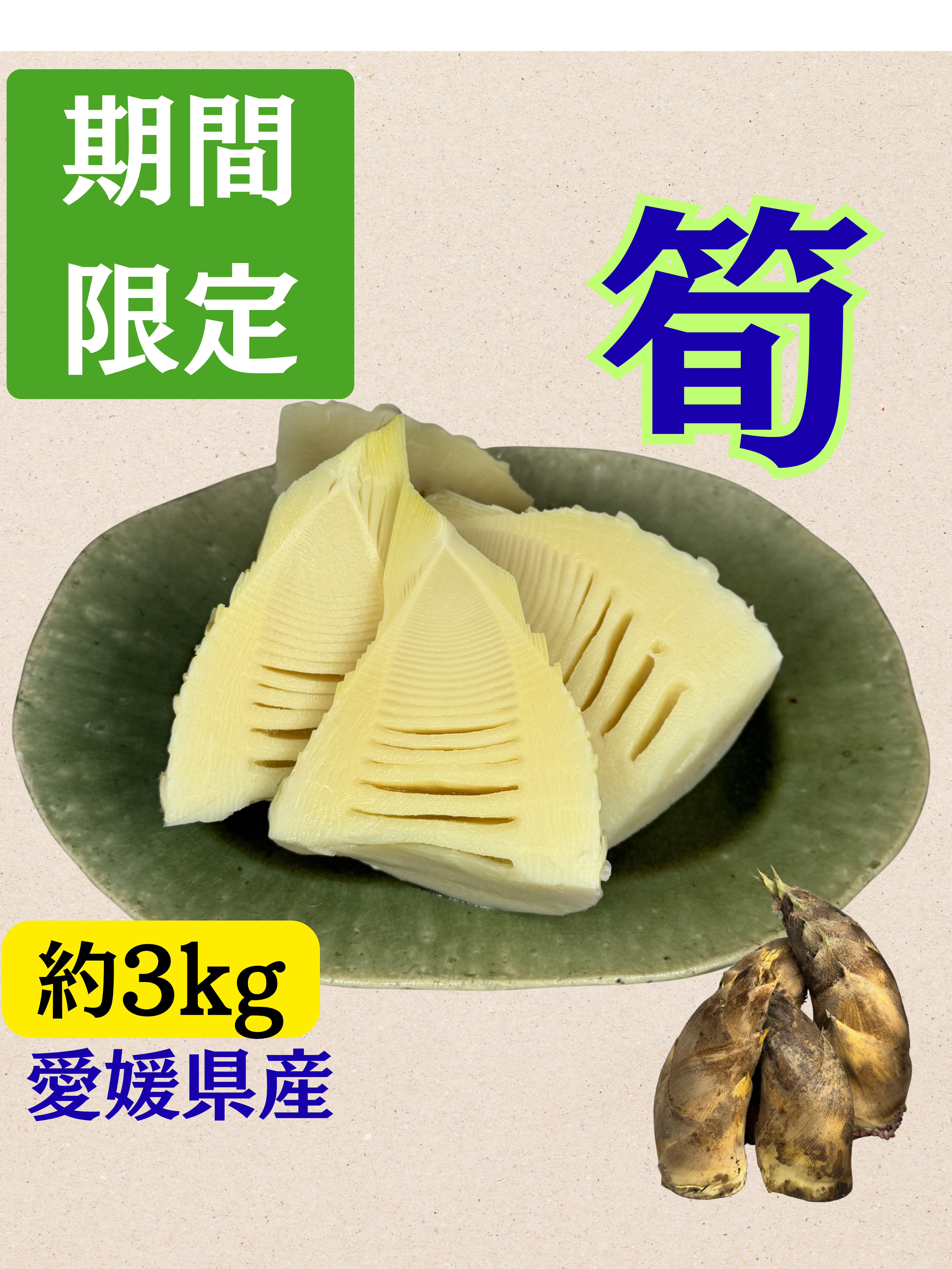 【次回12日発送予定！】SENDANMARU タケノコ　（愛媛県産）