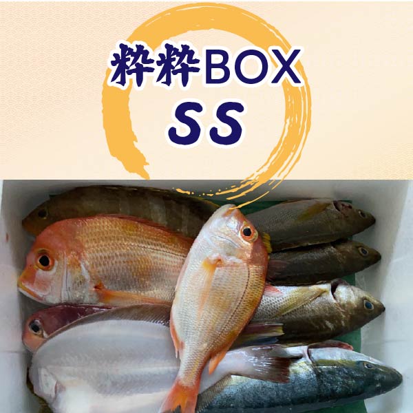 萩大島の粋粋BOX SS
