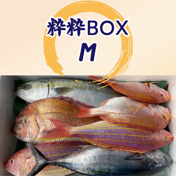 萩大島の粋粋BOX M