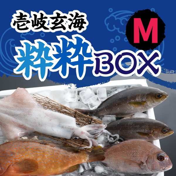 壱岐玄海の粋粋BOX　M